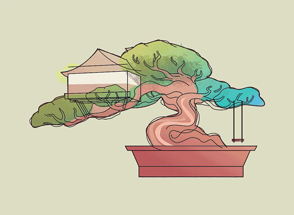 bonsai treehouse process animation