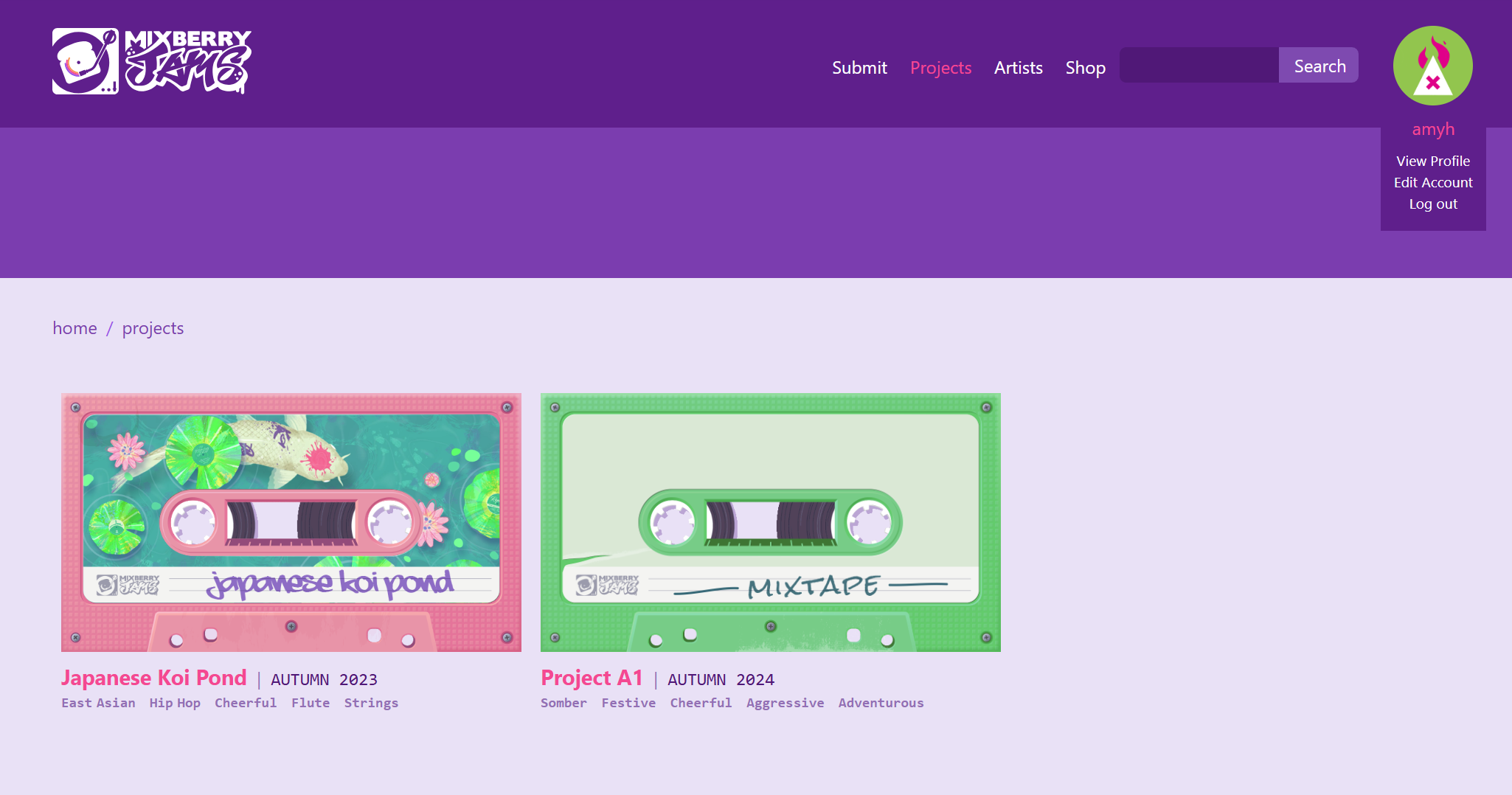 Mixberry Jams projects