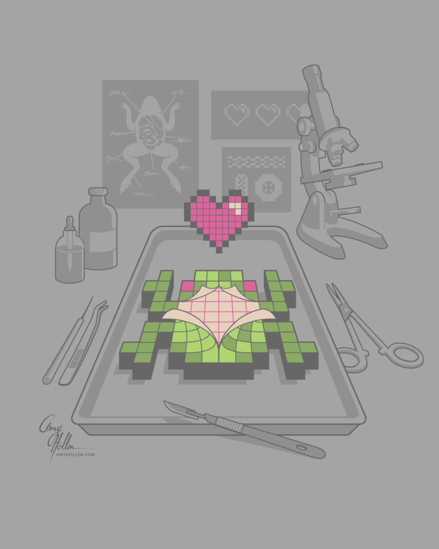 Organ Donor