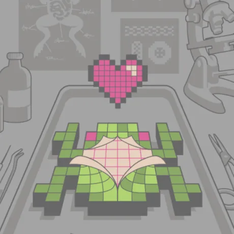Organ Donor